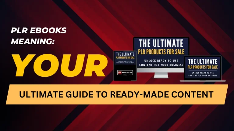 Explanation of PLR eBooks, covering their meaning, licensing, and business uses