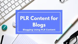 PLR Content in Blog Posts