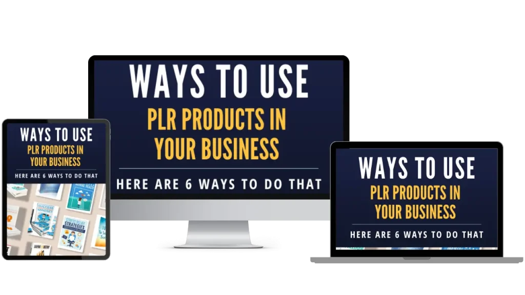 Ways to Use PLR Products in Your Business
