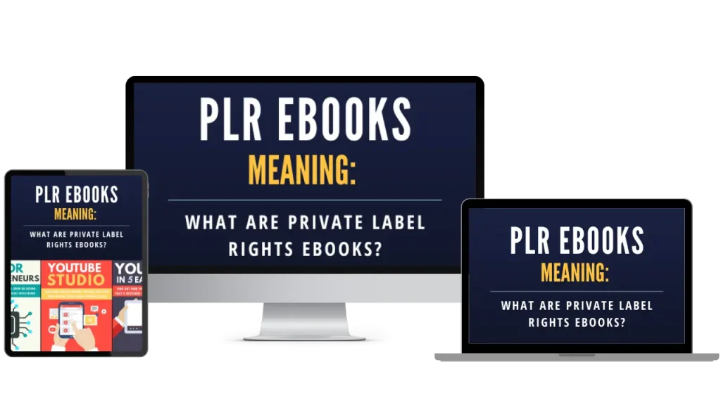 plr ebooks meaning