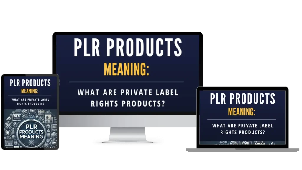 plr products meaning