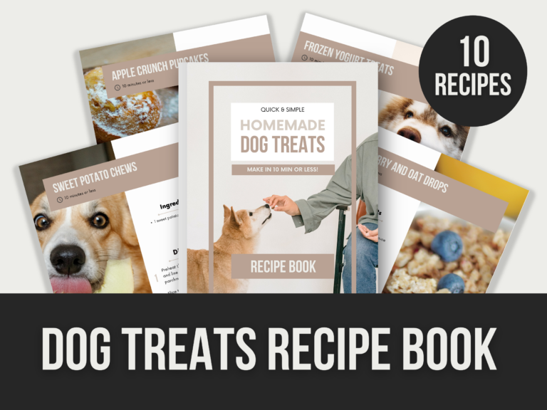 Dog Treats Recipe Book – Editable Canva Templates with PLR Rights