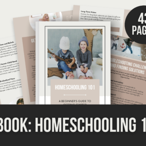 Homeschooling 101 – Editable Canva E-Book with PLR Rights