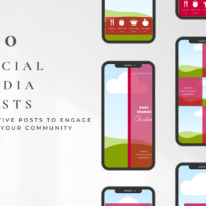 Editable Food Blogger Social Media Story Templates – 50 Designs with PLR