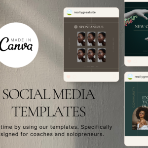 Instagram Aesthetic Canva Templates – Fully Editable Modern Designs with PLR