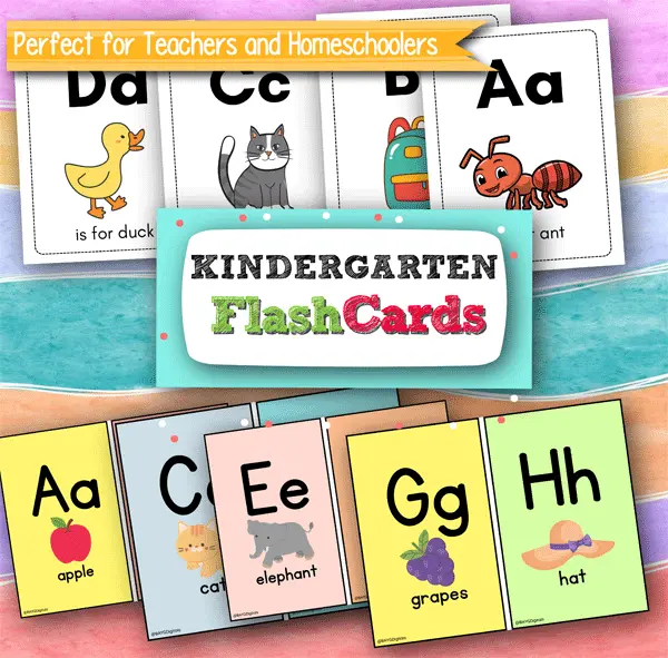 Types of Kindergarten Flashcards